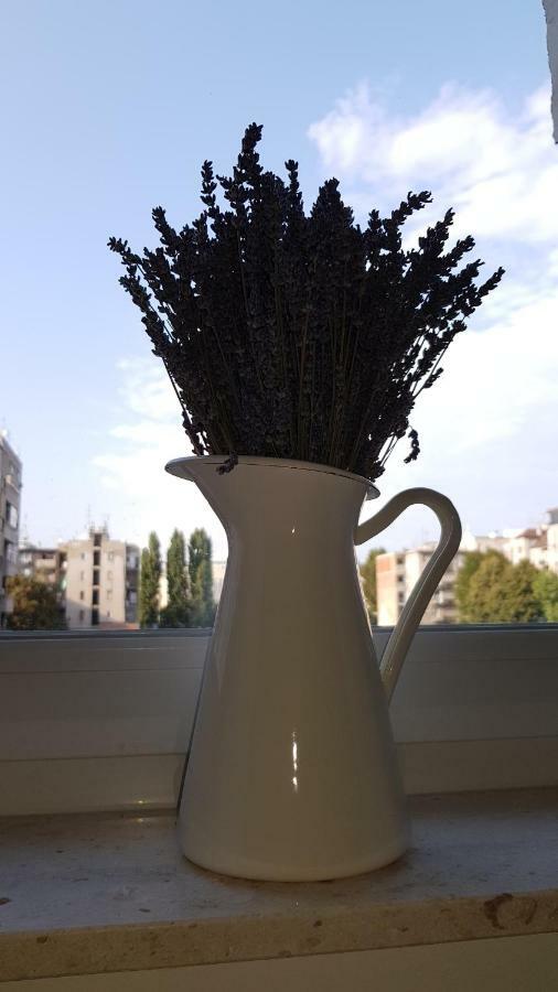 Citylux Apartments Загреб Екстериор снимка